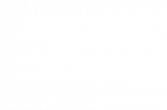 SS PERFORMANCE PRO